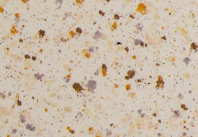 Sandstone
